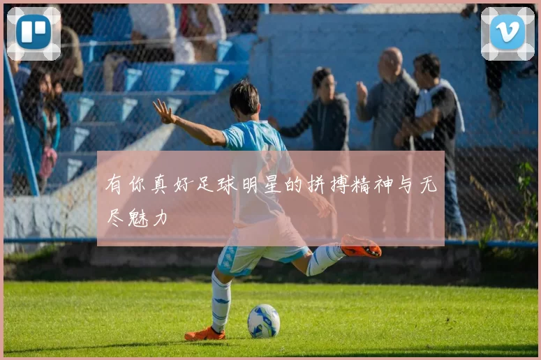 有你真好足球明星的拼搏精神与无尽魅力