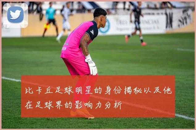 比卡丘足球明星的身份揭秘以及他在足球界的影响力分析
