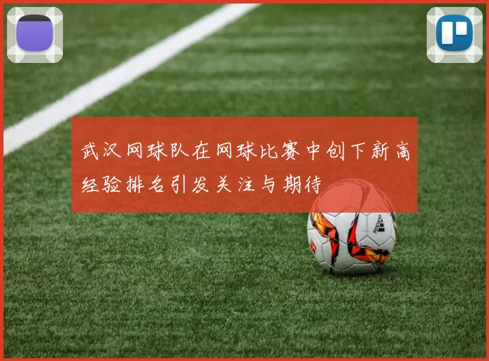 武汉网球队在网球比赛中创下新高经验排名引发关注与期待