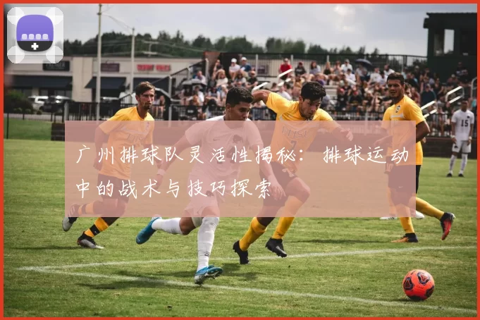 广州排球队灵活性揭秘：排球运动中的战术与技巧探索