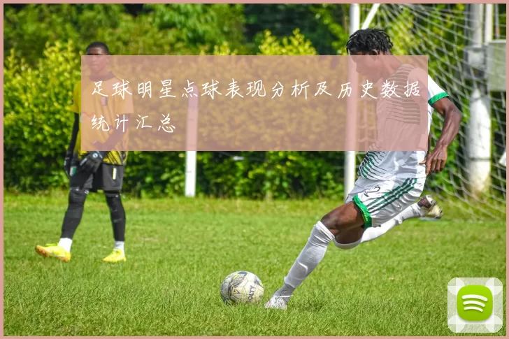 足球明星点球表现分析及历史数据统计汇总