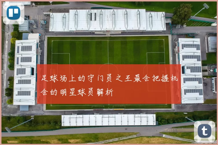足球场上的守门员之王最会把握机会的明星球员解析