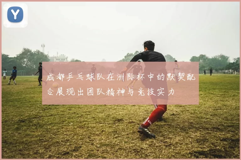 成都乒乓球队在洲际杯中的默契配合展现出团队精神与竞技实力