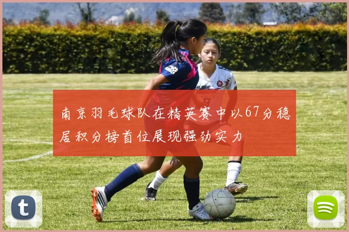 南京羽毛球队在精英赛中以67分稳居积分榜首位展现强劲实力