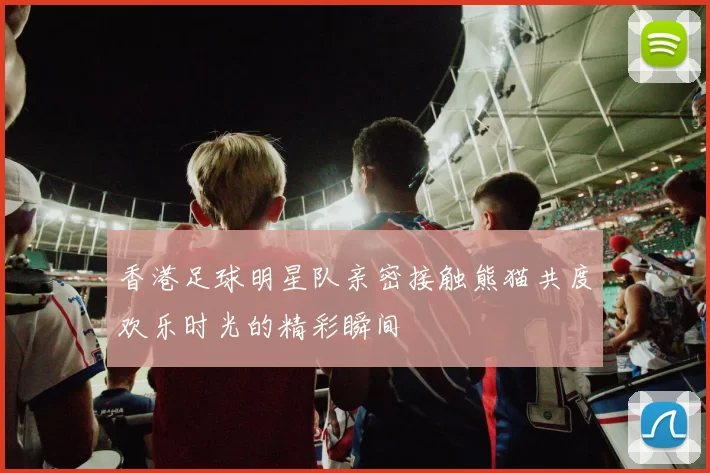 香港足球明星队亲密接触熊猫共度欢乐时光的精彩瞬间
