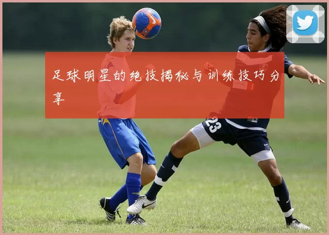 足球明星的绝技揭秘与训练技巧分享