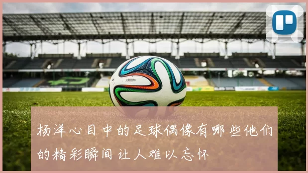 杨洋心目中的足球偶像有哪些他们的精彩瞬间让人难以忘怀