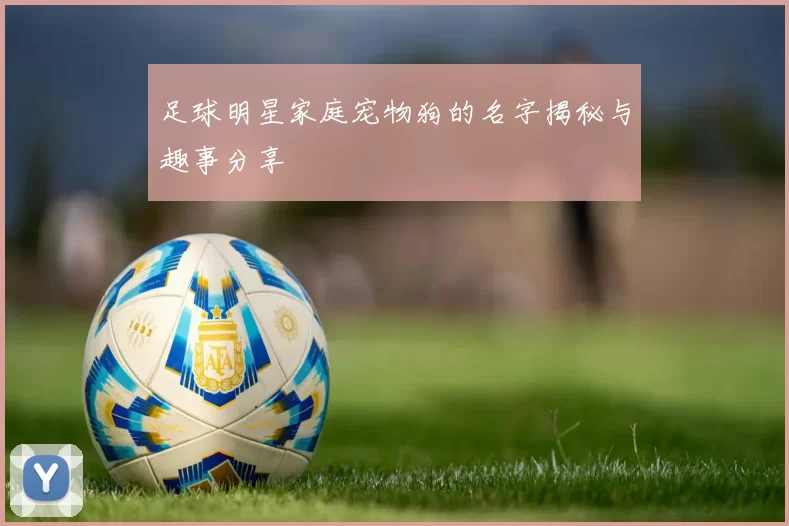 足球明星家庭宠物狗的名字揭秘与趣事分享
