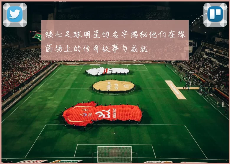 矮壮足球明星的名字揭秘他们在绿茵场上的传奇故事与成就