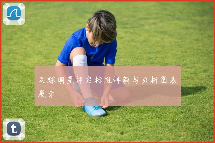 足球明星评定标准详解与分析图表展示