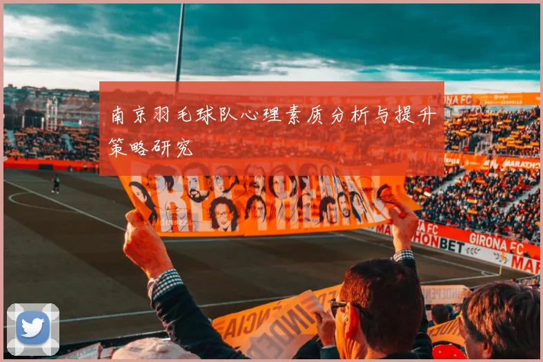 南京羽毛球队心理素质分析与提升策略研究