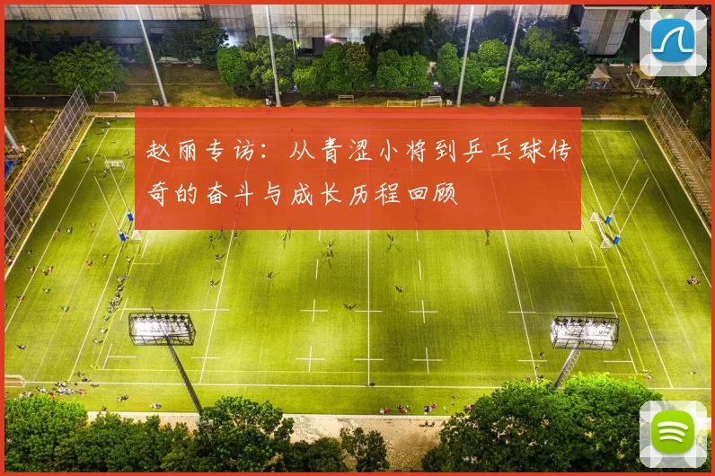 赵丽专访：从青涩小将到乒乓球传奇的奋斗与成长历程回顾