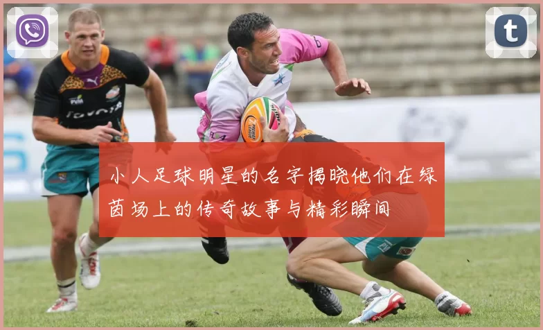 小人足球明星的名字揭晓他们在绿茵场上的传奇故事与精彩瞬间