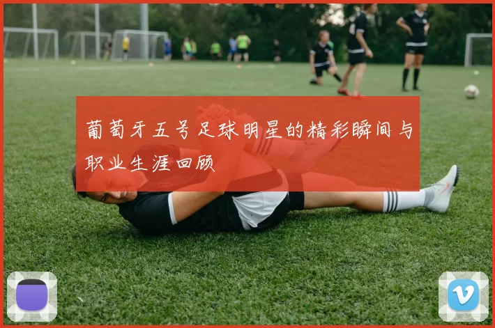 葡萄牙五号足球明星的精彩瞬间与职业生涯回顾