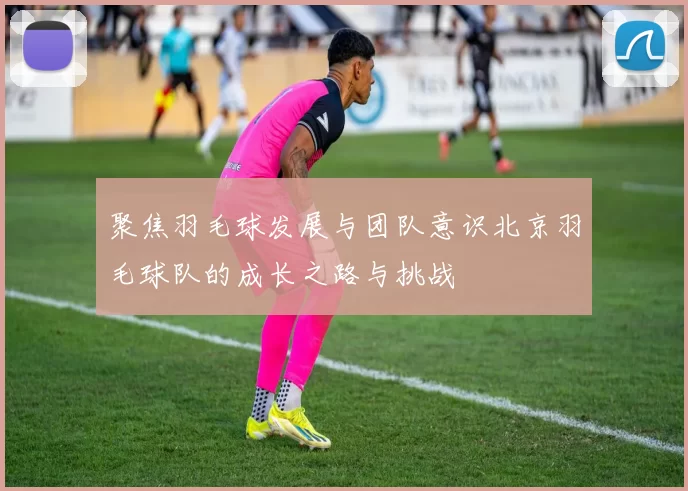 聚焦羽毛球发展与团队意识北京羽毛球队的成长之路与挑战