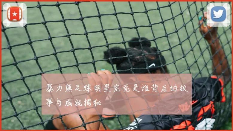 暴力熊足球明星究竟是谁背后的故事与成就揭秘